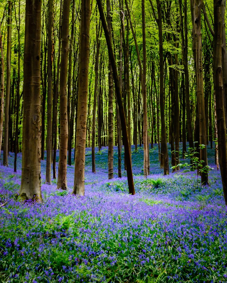 DSC_1819_tonemapped-1