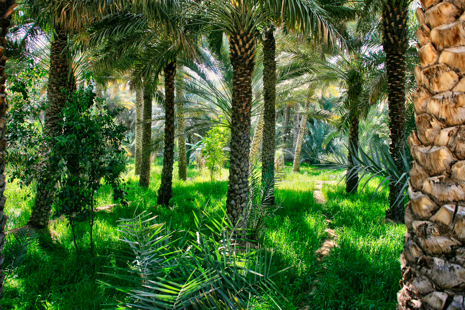 IMG_1473_tonemapped